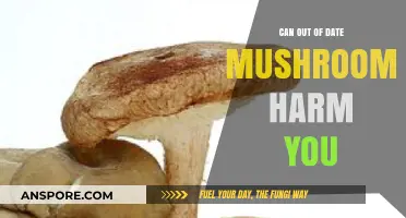 Expired Mushrooms: Are They Safe to Eat or Potentially Harmful?
