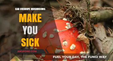 Overripe Mushrooms: Health Risks and Safe Consumption Tips