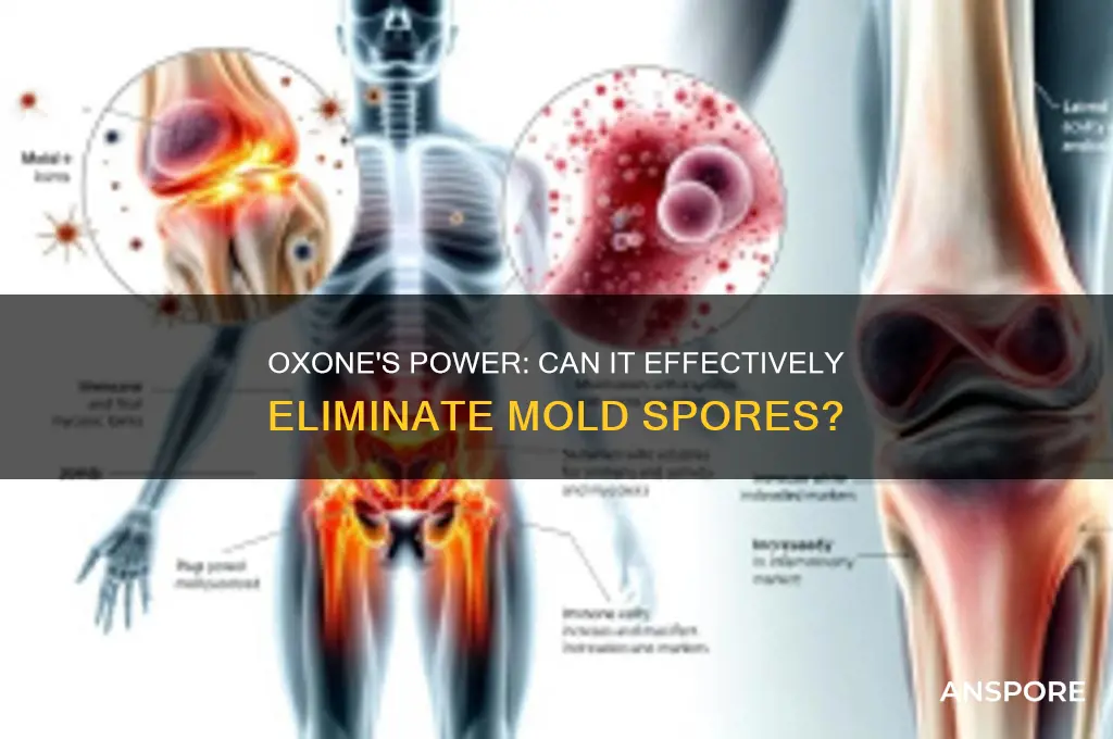 can oxone kill mold spores