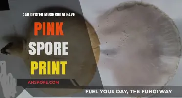 Do Oyster Mushrooms Produce Pink Spore Prints? Unveiling the Truth