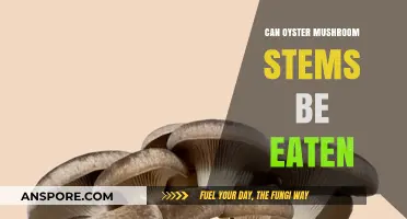 Can You Eat Oyster Mushroom Stems? A Tasty Guide