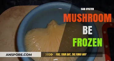 Freezing Oyster Mushrooms: A Guide to Preserving Freshness and Flavor
