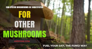 Can Oyster Mushrooms Replace Other Varieties in Your Recipes?