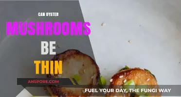 Exploring Oyster Mushrooms: Can They Naturally Grow Thin?