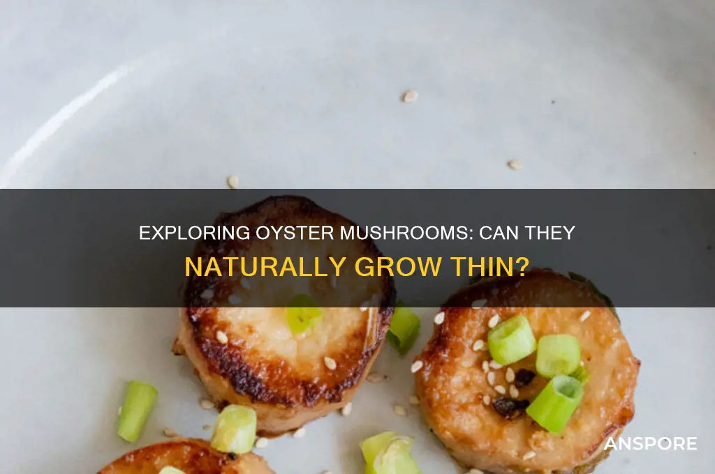 can oyster mushrooms be thin
