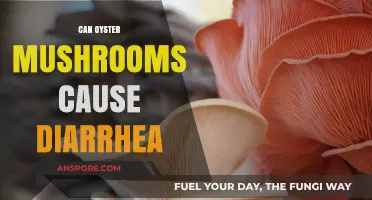 Oyster Mushrooms and Diarrhea: Unraveling the Digestive Truth