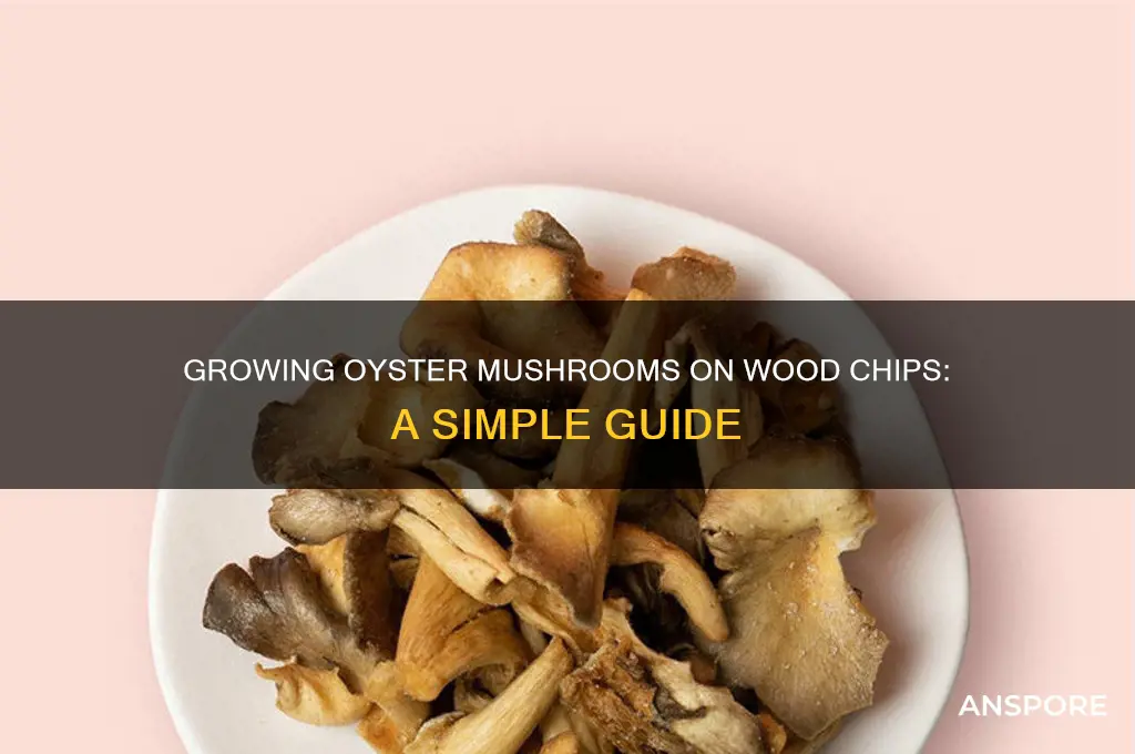 can oyster mushrooms grow on wood chips