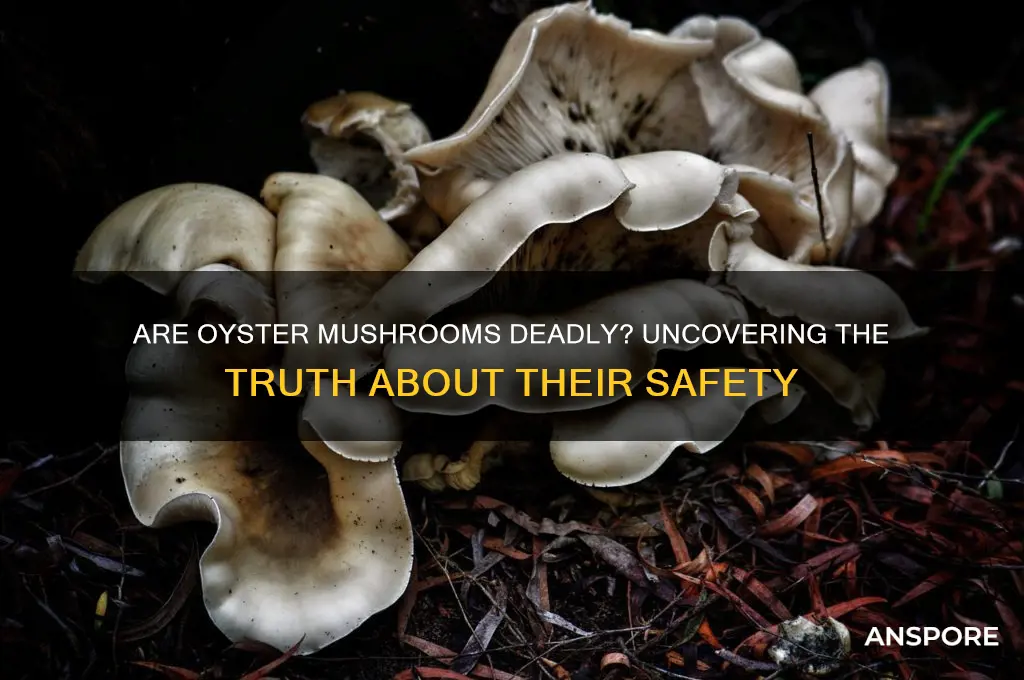 can oyster mushrooms kill you