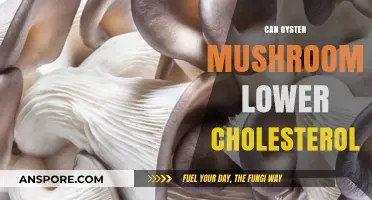 Oyster Mushrooms and Cholesterol: A Natural Way to Lower Levels?