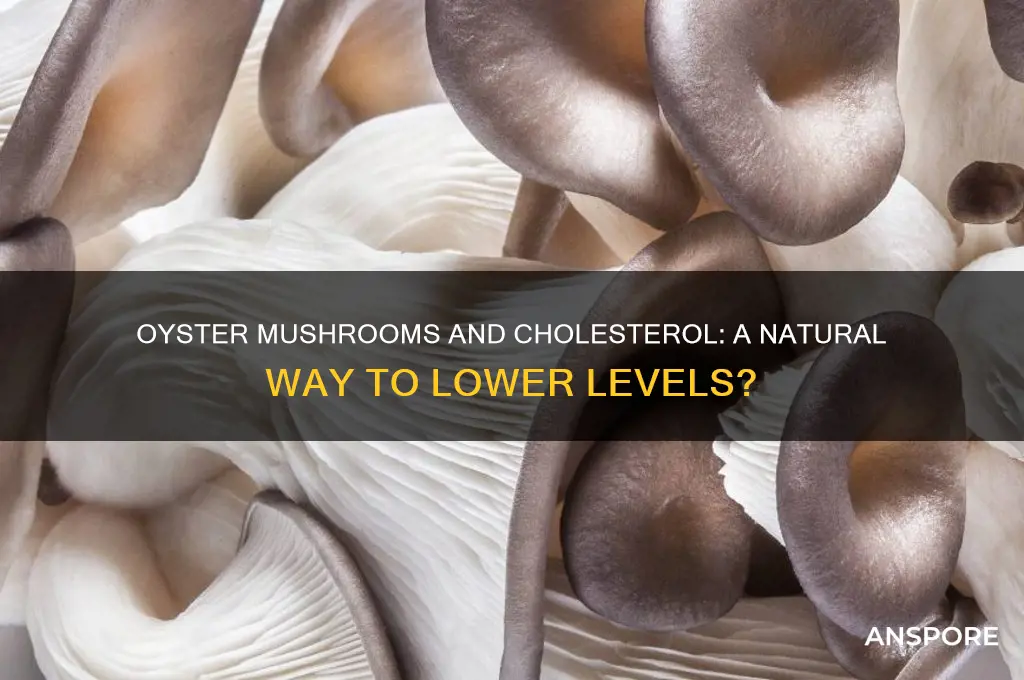 can oyster mushrooms lower cholesterol