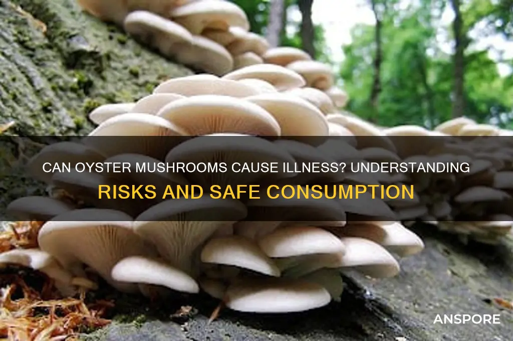 can oyster mushrooms make you sick