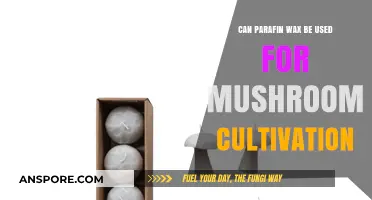 Using Paraffin Wax for Mushroom Cultivation: Benefits and Techniques