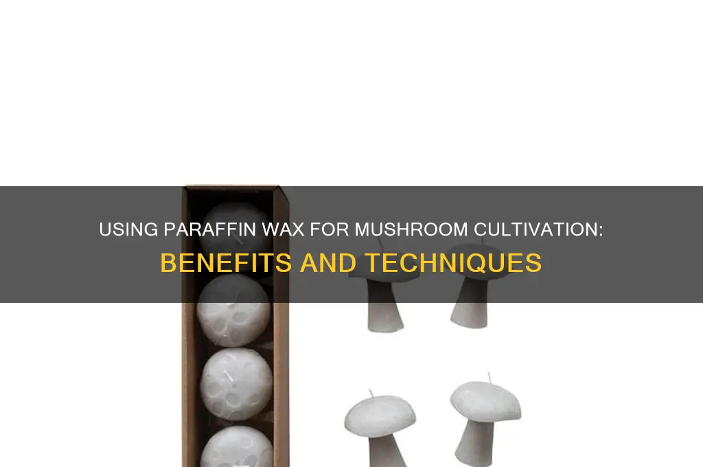 can parafin wax be used for mushroom cultivation