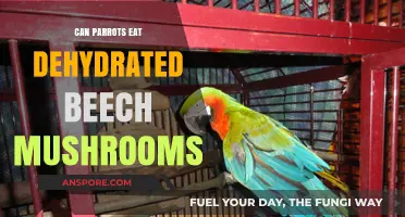 Can Parrots Safely Eat Dehydrated Beech Mushrooms? A Guide
