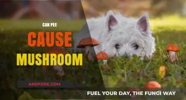 Can Human Urine Really Trigger Mushroom Growth? Unveiling the Truth