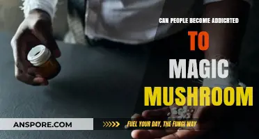 Exploring the Potential for Addiction to Magic Mushrooms