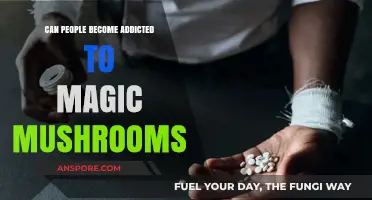 Magic Mushrooms Addiction: Myth or Reality? Exploring Psilocybin Dependence