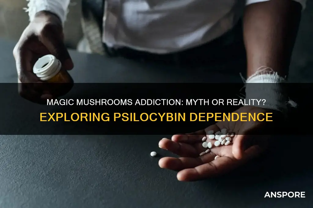 can people become addicted to magic mushrooms