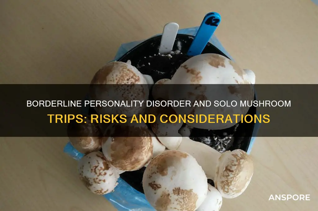 can people eith borderline personality disorder trip on mushrooms alone