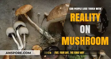 Mushrooms and Reality: Exploring the Thin Line Between Perception and Illusion