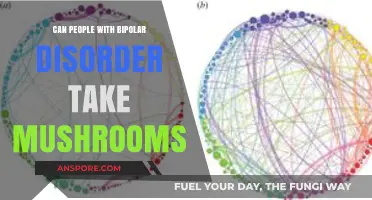 Bipolar Disorder and Psilocybin: Risks, Benefits, and Safety Concerns