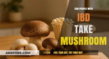 IBD and Mushrooms: Safe Consumption Tips for Gut Health