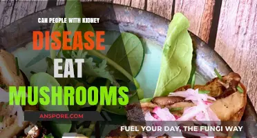Mushrooms and Kidney Health: Safe or Risky for Kidney Disease Patients?