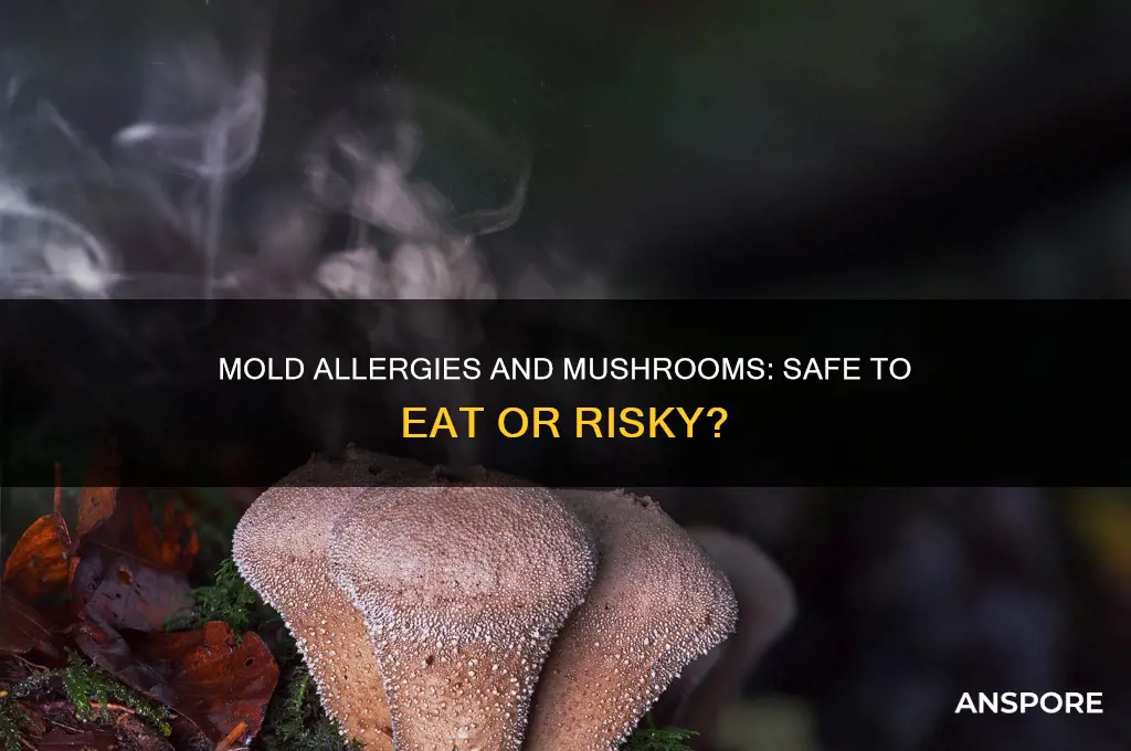 can people with mold allergies eat mushrooms