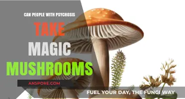 Magic Mushrooms and Psychosis: Risks, Safety, and Expert Insights