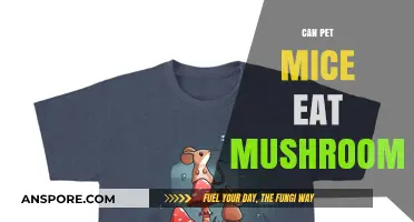 Can Pet Mice Safely Eat Mushrooms? A Complete Guide