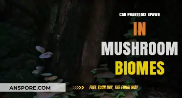 Do Phantoms Spawn in Mushroom Fields? Exploring Minecraft Mob Behavior