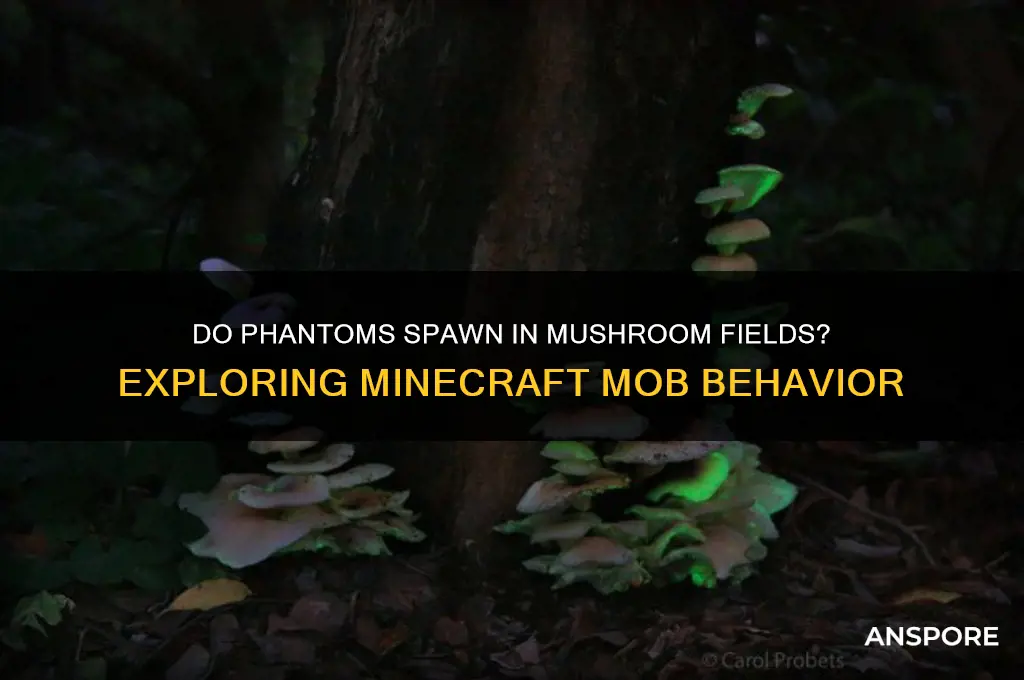 can phantoms spawn in mushroom biomes