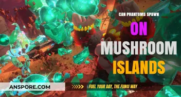 Do Phantoms Spawn on Mushroom Islands? Minecraft Myth Explained