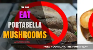 Can Pigs Safely Eat Portabella Mushrooms? A Dietary Guide