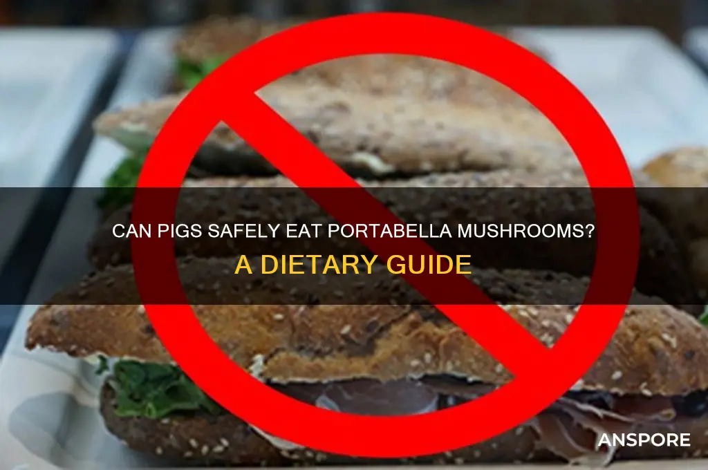 can pigs eat portabella mushrooms