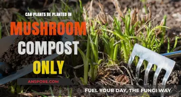 Can Plants Thrive in Mushroom Compost Alone? A Gardening Guide