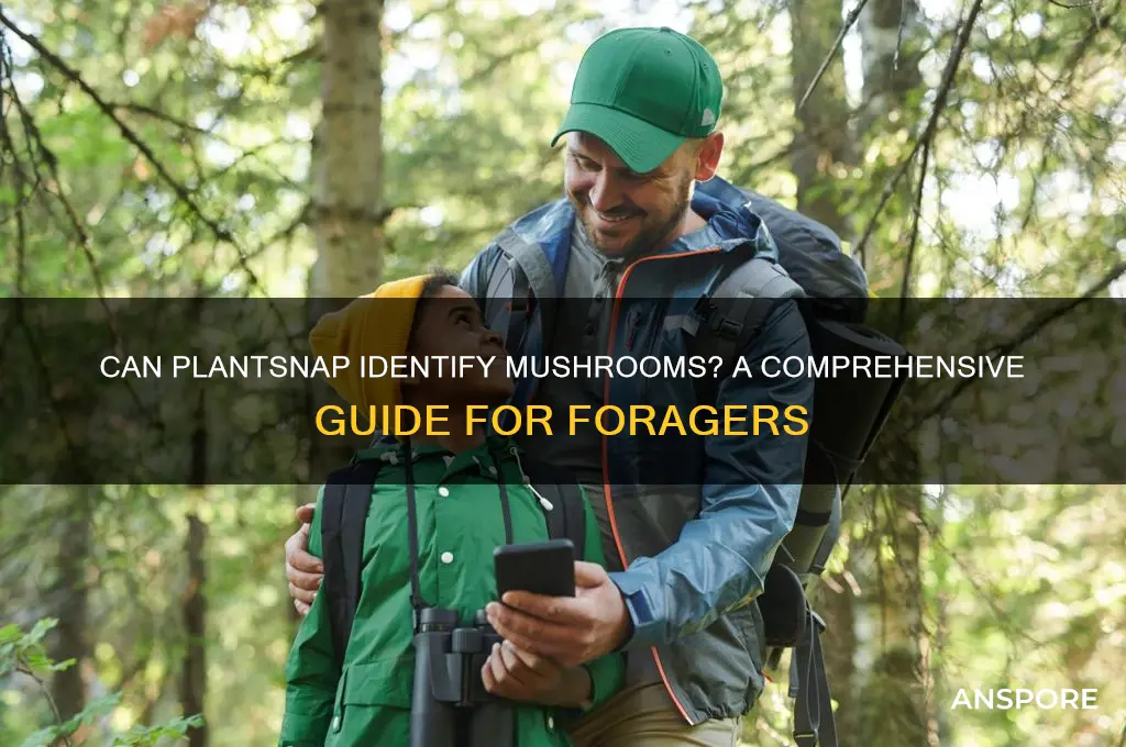 can plantsnap id mushrooms