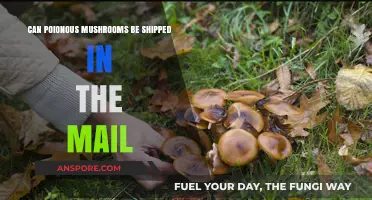 Shipping Poisonous Mushrooms: Legal Risks and Safety Concerns Explained