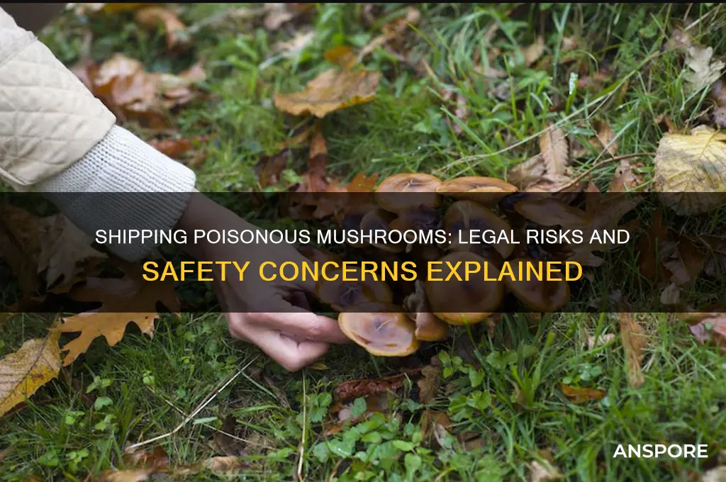 can poionous mushrooms be shipped in the mail