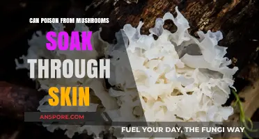 Mushroom Poison Absorption: Can Toxins Penetrate Skin on Contact?