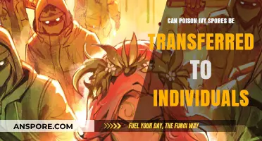 Can Poison Ivy Spores Spread to People? Understanding the Risks