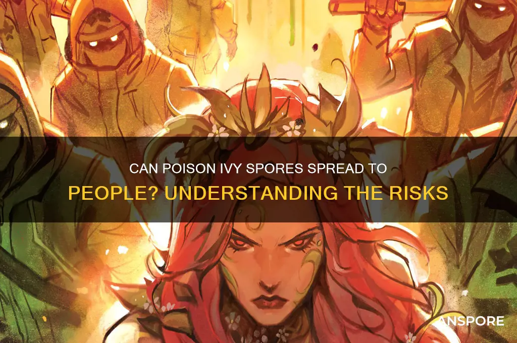 can poison ivy spores be transferred to individuals