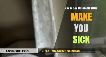 Can Inhaling Poisonous Mushroom Spores or Smell Make You Sick?