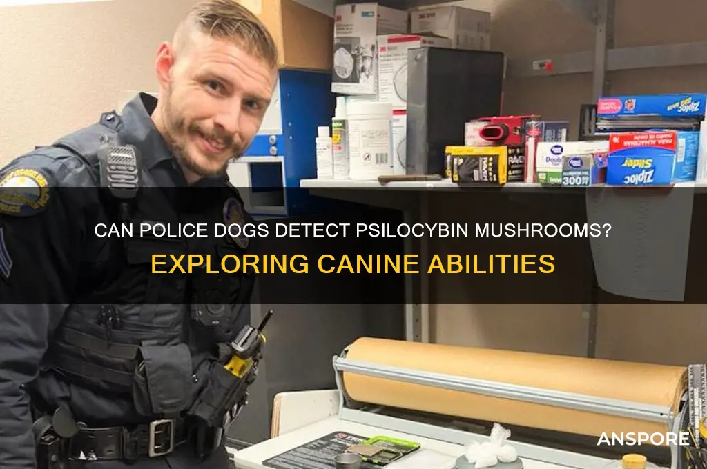 can police canines smell psilocybin mushrooms