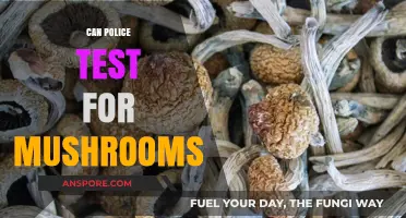 Can Police Detect Psilocybin Mushrooms? Testing Methods and Legal Implications