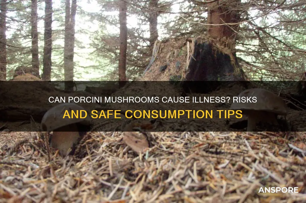can porcini mushrooms make you sick