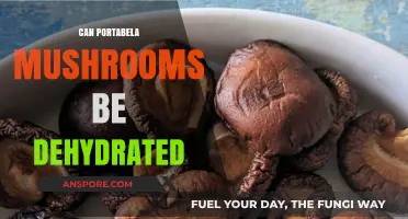 Dehydrating Portabella Mushrooms: A Simple Guide to Preservation and Storage