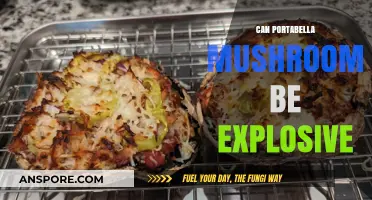 Can Portabella Mushrooms Be Explosive? Unraveling the Myth and Facts