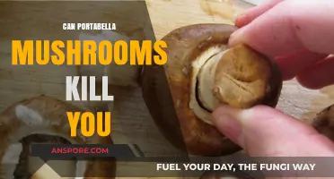 Are Portabella Mushrooms Deadly? Uncovering the Truth About Their Safety