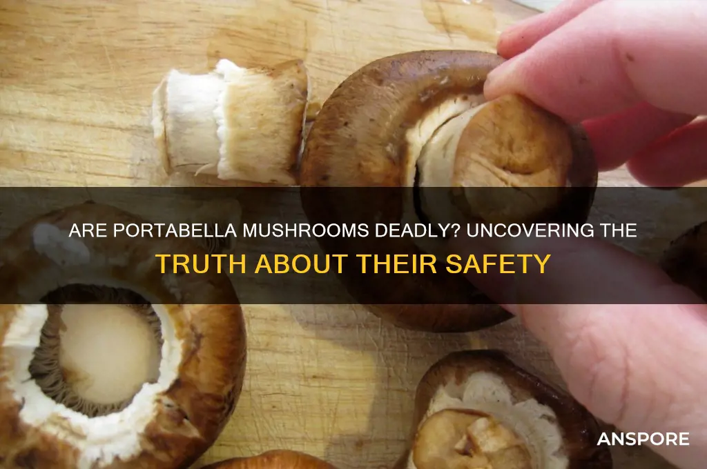 can portabella mushrooms kill you